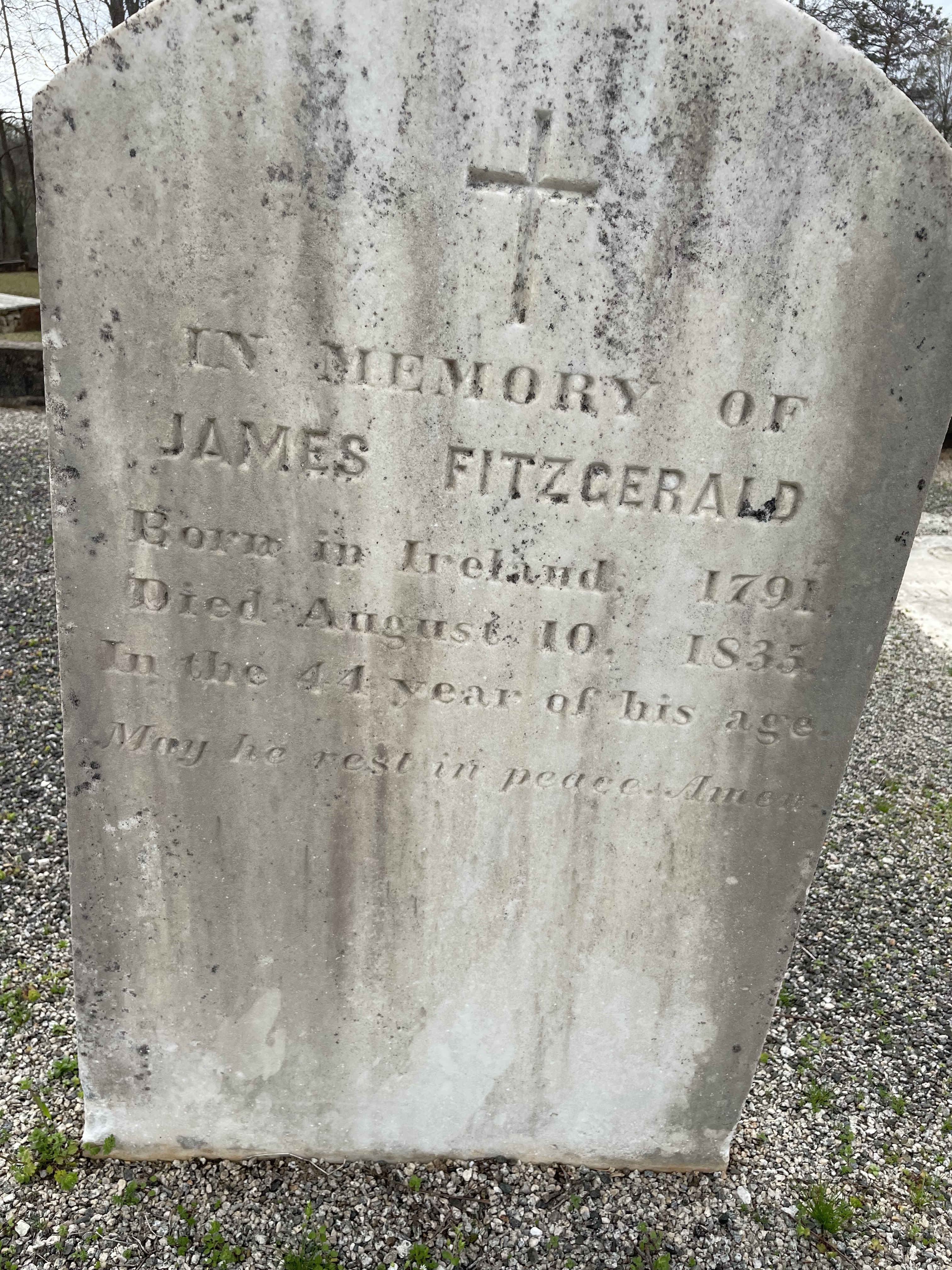 <span>James Fitzgerald:</span> Photo by Gail Jenkins